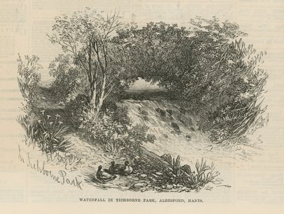 Cascade dans le parc de Tichborne - English School