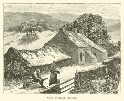 Cottages des landes galloises - English School