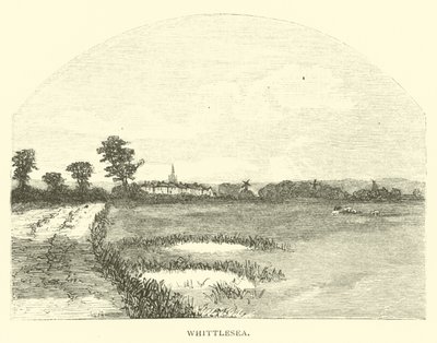 Whittlesea - English School