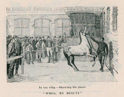 Whoa, Ma Beauté - Dans le ring montrant ses allures - English School