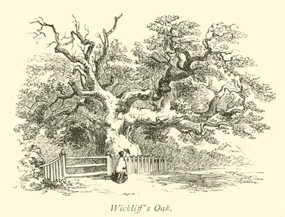 Chêne de Wickliff - English School