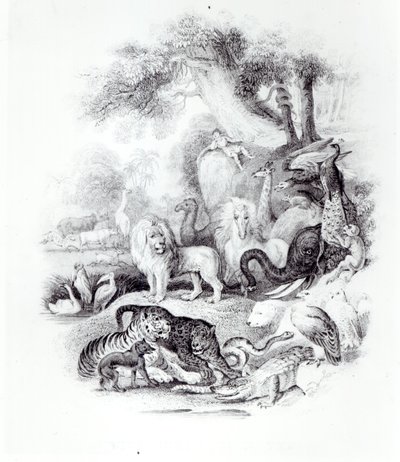 Animaux sauvages de 