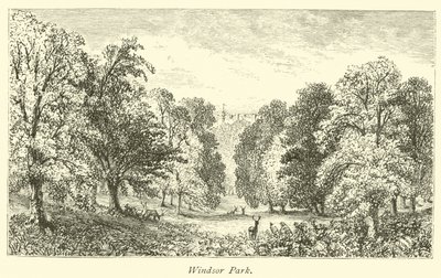 Parc de Windsor - English School