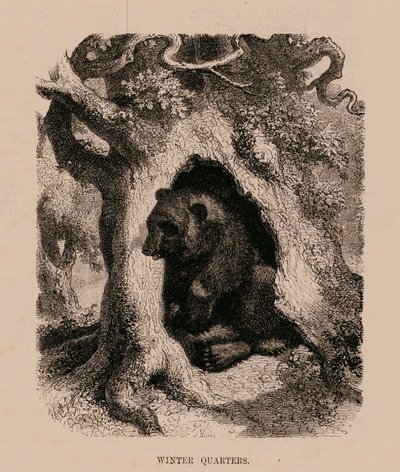 Winters Quarters (gravure) - English School