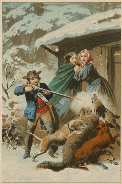 Loup attaqué par des chiens alors qu