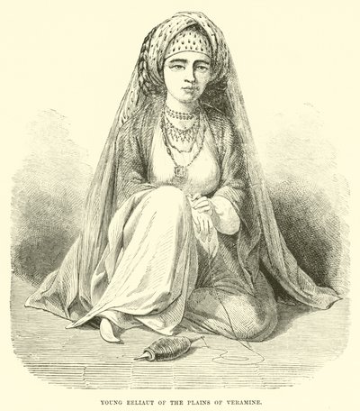 Jeune Eeliaut des plaines de Veramine - English School