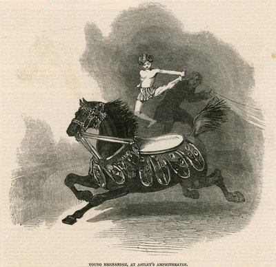 Jeune Hernandez à l