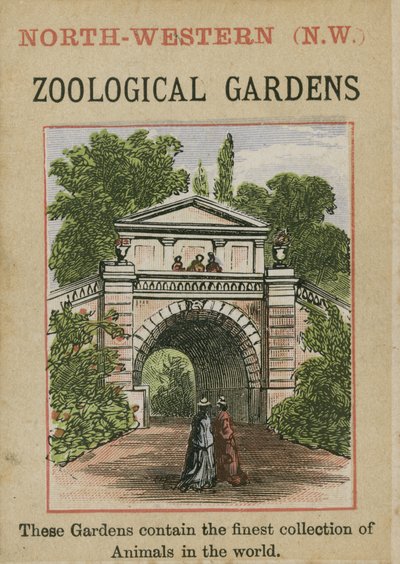 Jardins zoologiques - English School