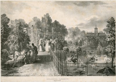 Jardins zoologiques, Regents Park - English School