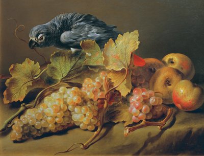 Nature morte avec perroquet et raisins - Erasmus von Engert
