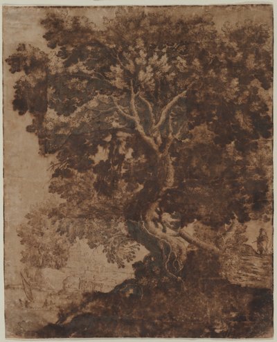 Arbre dans un paysage - Ercole Bazicaluva