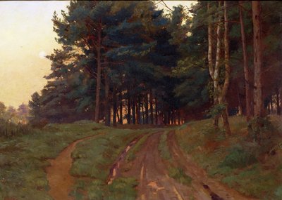 Le silence régnait sur son soir, 1888 - Ernest Arthur Rowe