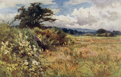 Terrain Élevé - Ernest Benger or Berenger