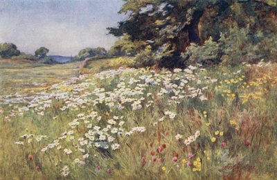 Soleil dans les prairies - Ernest Benger or Berenger