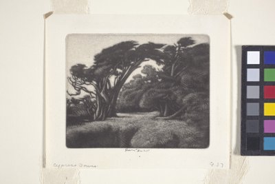 Tonnelle de cyprès - Ernest Haskell