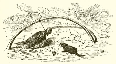 Le Chasseur et l