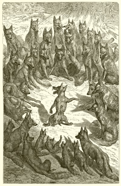Le Renard sans queue - Ernest Henry Griset
