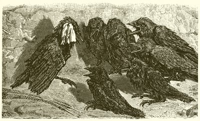 Le Geai vaniteux - Ernest Henry Griset