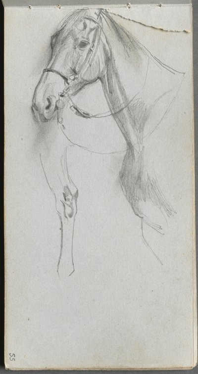 Carnet de croquis, page 55 : Étude pour un cheval - Jean Louis Ernest Meissonier