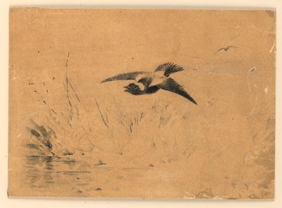 Goglu - Ernest Thompson Seton