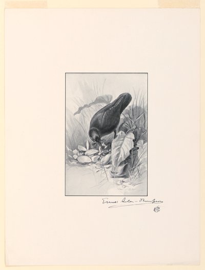 La poignée d