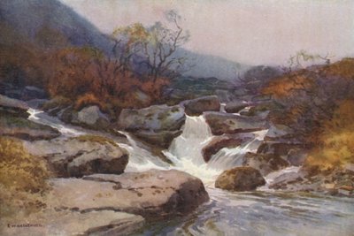 Un ruisseau de Dartmoor - Ernest William Haslehust