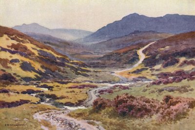 Un chemin de lande, Le Pont du Diable - Ernest William Haslehust