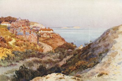Boscombe Chine - Ernest William Haslehust