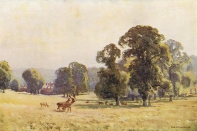 Cobham Park - Ernest William Haslehust