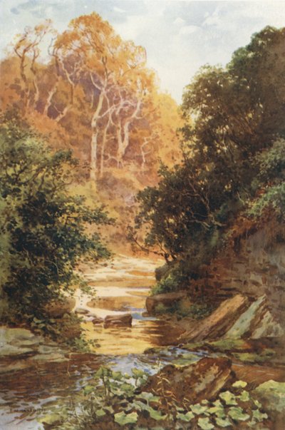 Hayburn Wyke - Ernest William Haslehust