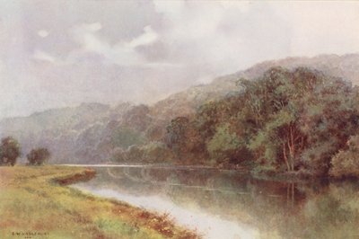Rivière Thames : Bois de Cliveden - Ernest William Haslehust