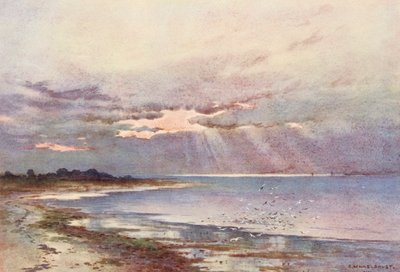 La Tamise : Vue vers le Sud jusqu