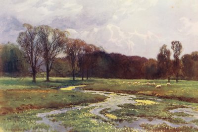 Rivière Thames : Thames Head - Ernest William Haslehust