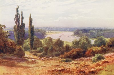 La Tamise : La Tamise, depuis Richmond Hill - Ernest William Haslehust