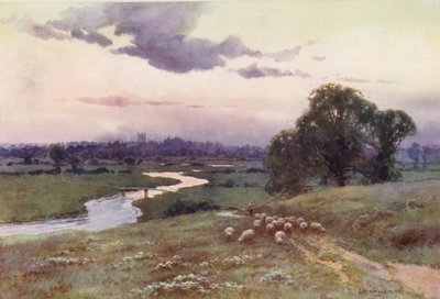 La Tamise : vue depuis Eisey Hill - Ernest William Haslehust