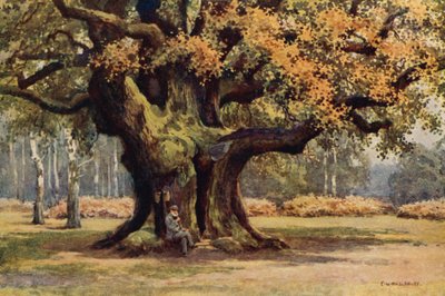 Le Major Oak, Parc de Thoresby - Ernest William Haslehust