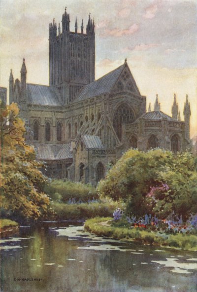 Cathédrale de Wells depuis les sources - Ernest William Haslehust