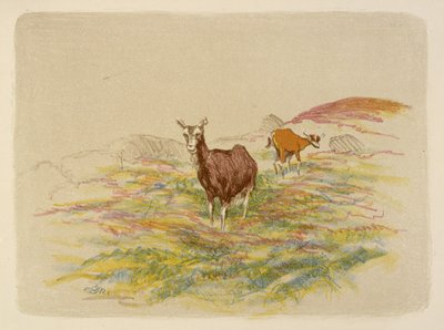Chèvres dans un champ - Esther Blaikie MacKinnon