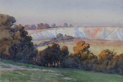 Carrière de Coulsdon depuis Farthing Downs - Ethel Hall