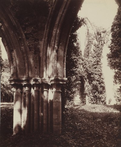 Dammarie-les-Lys, ruines,1910 (photo) - Eugène Atget