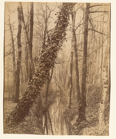  - Eugène Atget