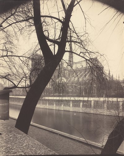 Notre-Dame,1922 (photo) - Eugène Atget