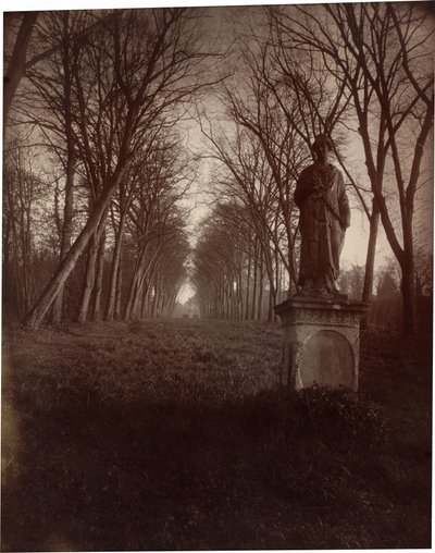 Parc de Sceaux,1925 (photo) - Eugène Atget