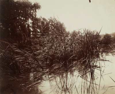  - Eugène Atget