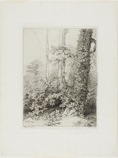 Ronce et lierre - Eugene Bléry