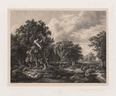 Groupes de diverses plantes dessinées d