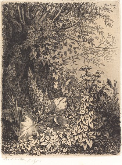 La bardane au saule - Eugene Bléry