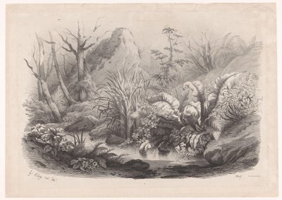 Plantes riveraines près d
