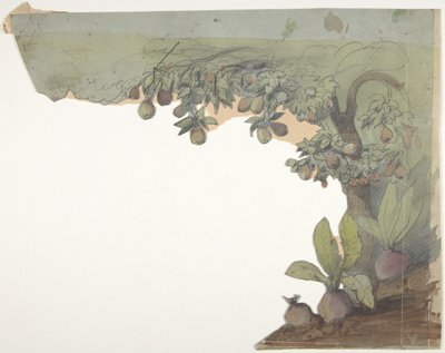 Décor de scène à l