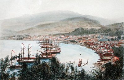 Vue de Saint-Pierre depuis la batterie de canons à Sainte-Marthe, Martinique - Eugene Ciceri